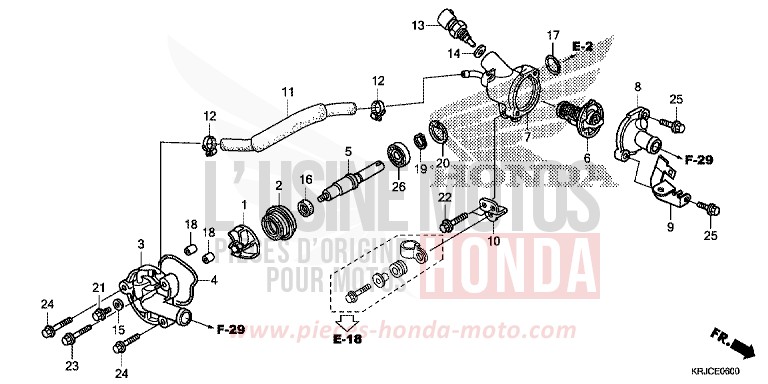 POMPE A EAU von S-wing ABS CHAMPAGNE BRONZE METALLIC (YR287) von 2012
